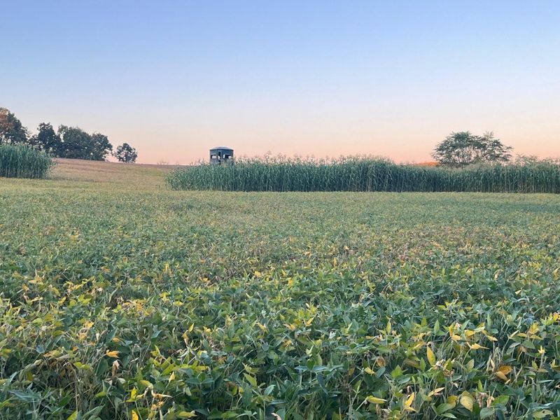 0 Stoneburner Road NW, Crooksville, OH 43731 Photo 6