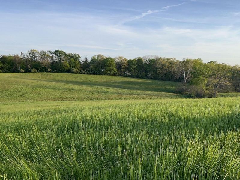 0 Stoneburner Road NW, Crooksville, OH 43731 Photo 8