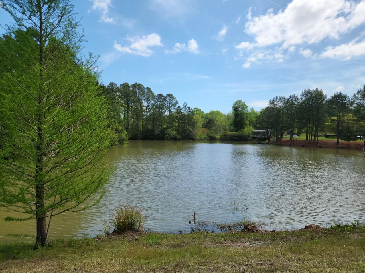 1082 E Settings Drive Photo 37