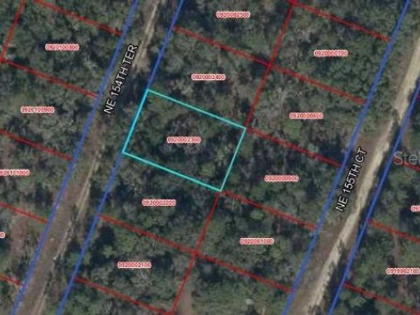 TBD NE 154TH TER , WILLISTON, FL 32696