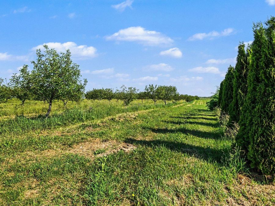 Property Image 40