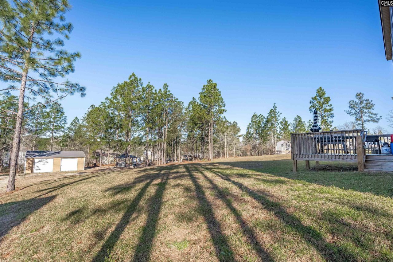 652 Rose Quartz Lane Photo 41