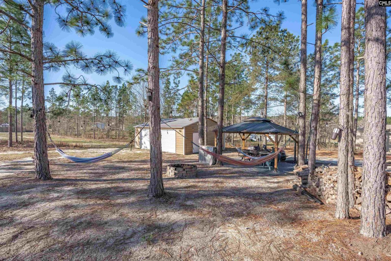 652 Rose Quartz Lane Photo 49