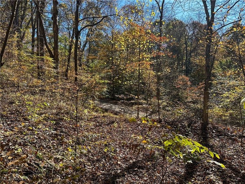 0 Clark Road, Cutler, OH 45724 Photo 17