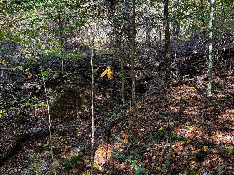 0 Clark Road, Cutler, OH 45724 Photo 18