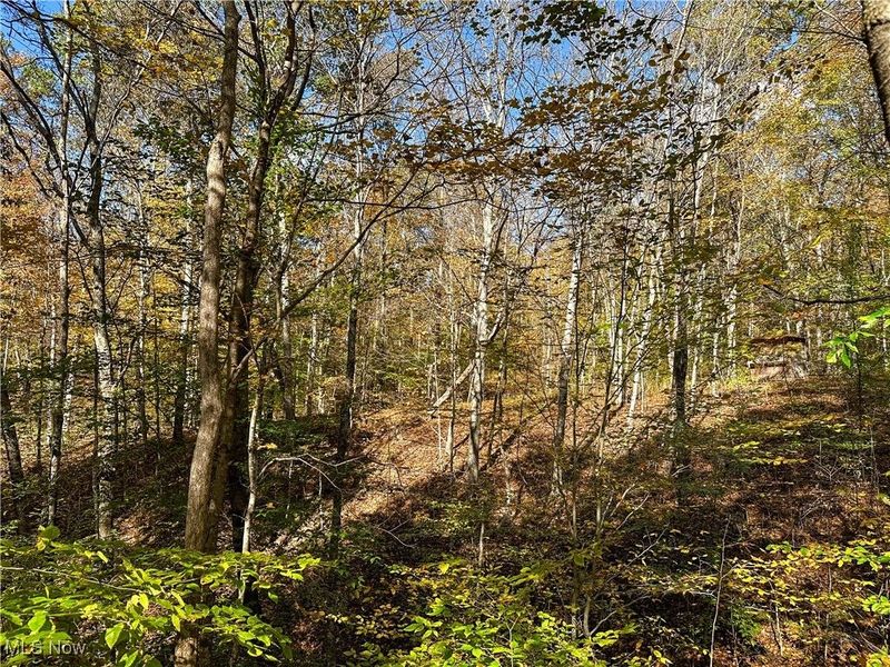 0 Clark Road, Cutler, OH 45724 Photo 19