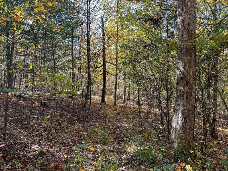 0 Clark Road, Cutler, OH 45724 Photo 20