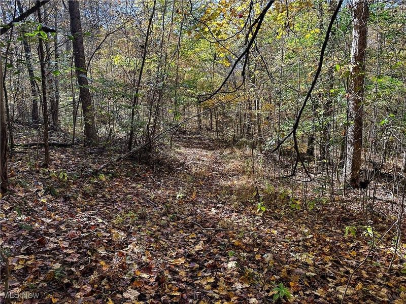 0 Clark Road, Cutler, OH 45724 Photo 21