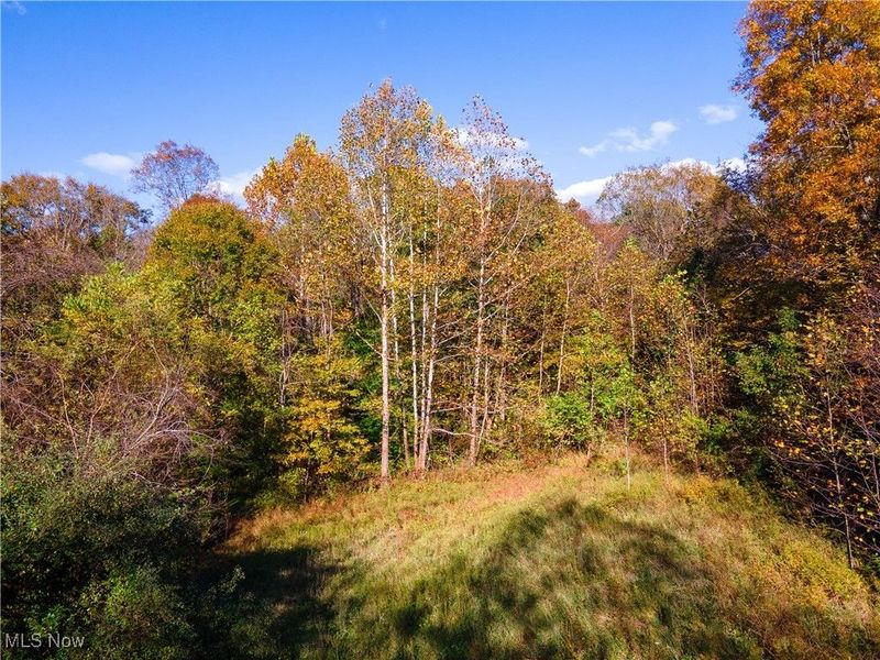 0 Clark Road, Cutler, OH 45724 Photo 22