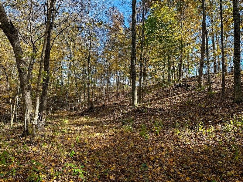 0 Clark Road, Cutler, OH 45724 Photo 3