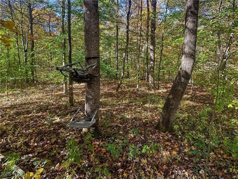 0 Clark Road, Cutler, OH 45724 Photo 4