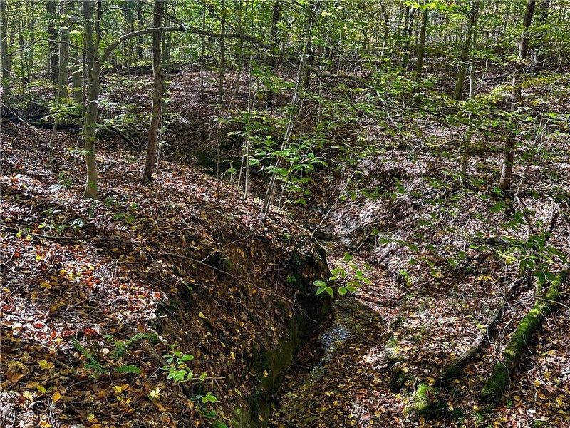 0 Clark Road, Cutler, OH 45724 Photo 5