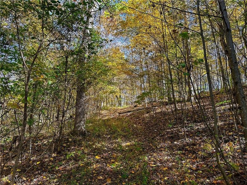 0 Clark Road, Cutler, OH 45724 Photo 6