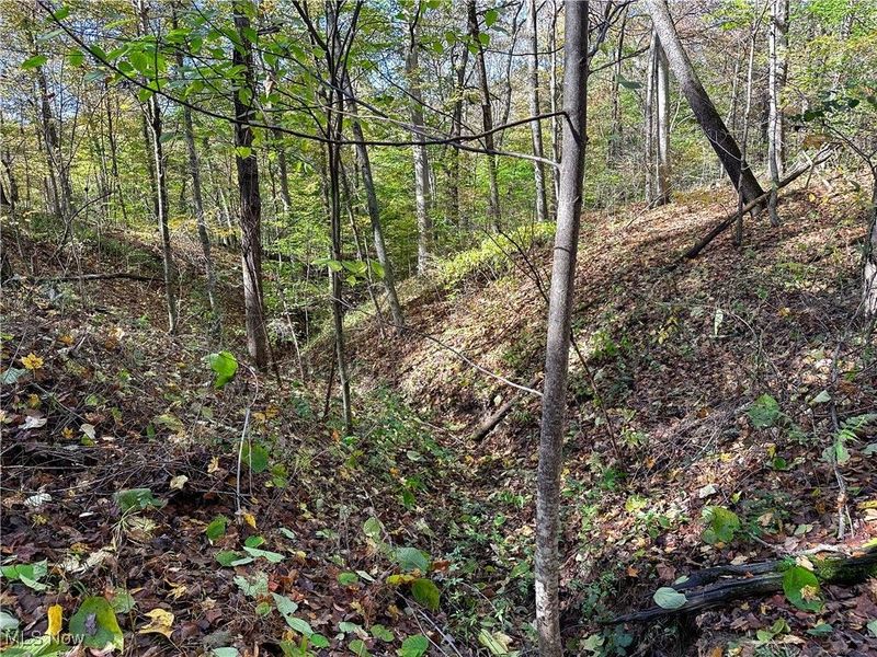 0 Clark Road, Cutler, OH 45724 Photo 6