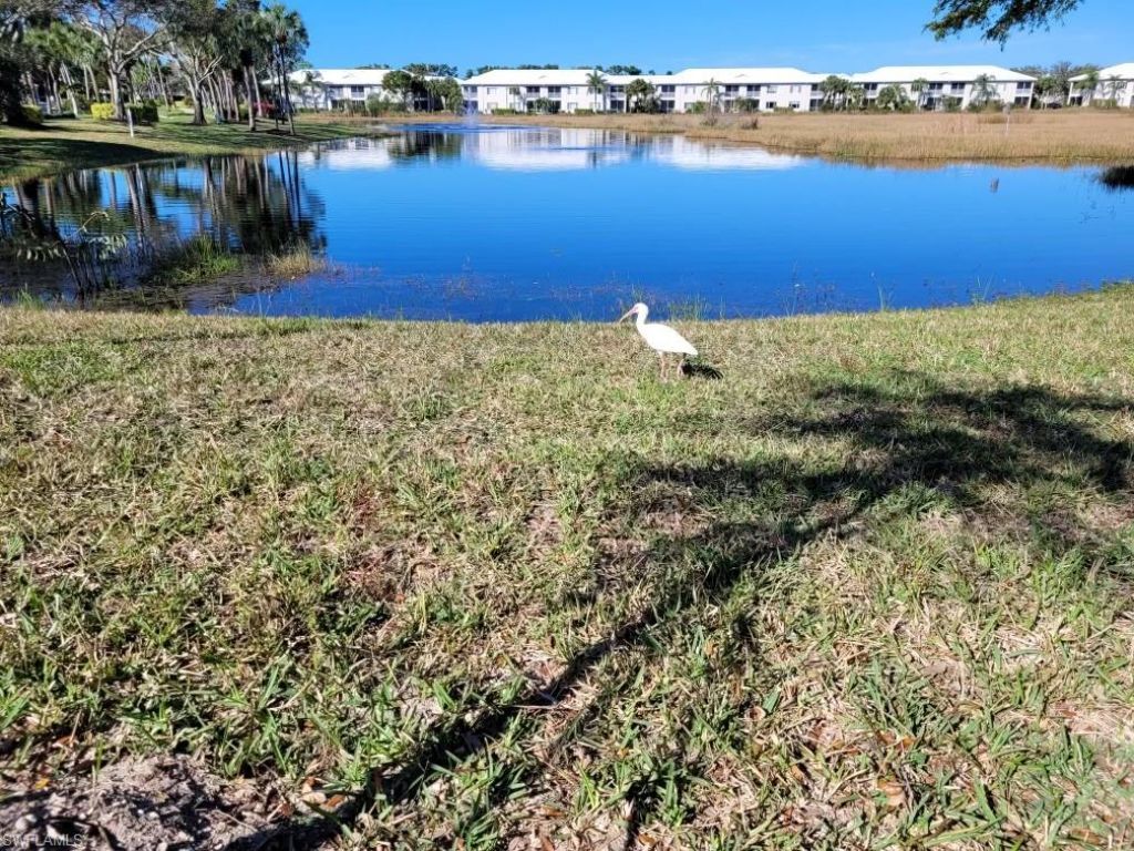 1117 Sweetwater Ln, Unit 2201, Naples, FL 34110 Photo