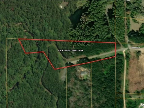 6.1 acres Bent Twig Lane, Brookwood, AL 35444