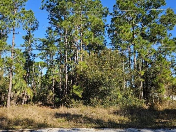 3903 E 10TH STREET , LEHIGH ACRES, FL 33972