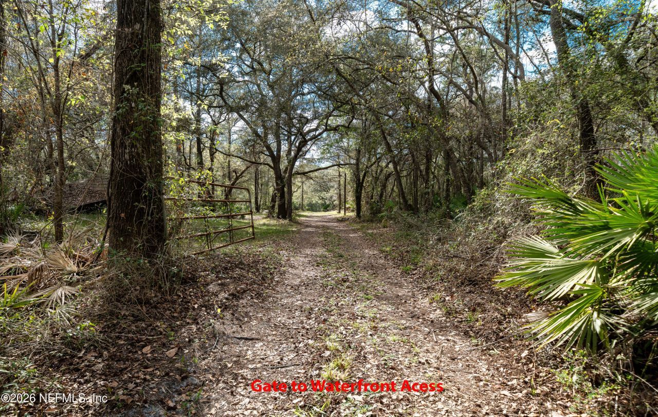 4333 Hawk Haven Road, Middleburg, FL 32068 Photo