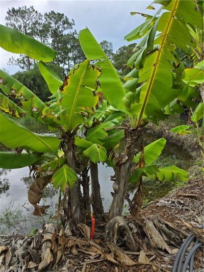 501 Wildwood Ave, Clewiston, FL 33440 Photo