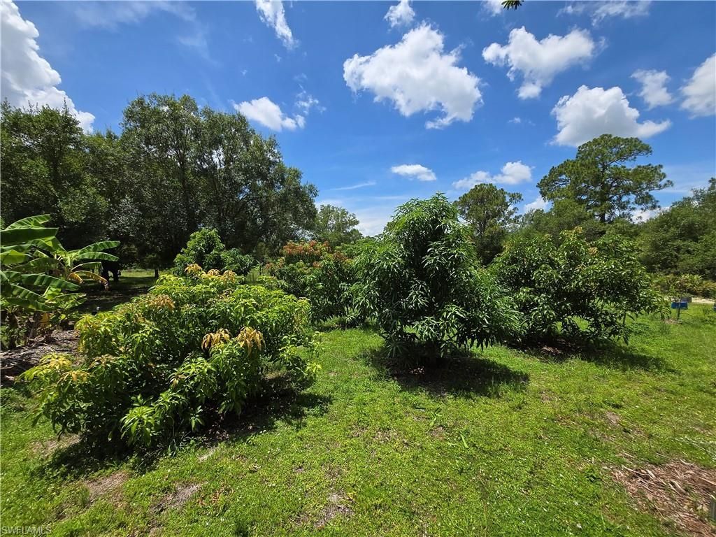 501 Wildwood Ave, Clewiston, FL 33440 Photo