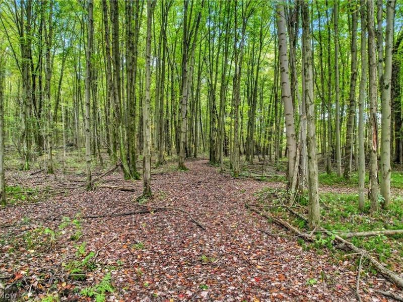 6174 US Route 6, Pierpont, OH 44082 Photo 35