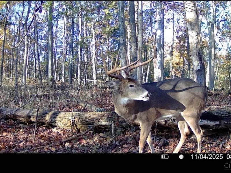 4051 St Rt 41, Manchester, OH 45144 Photo 10