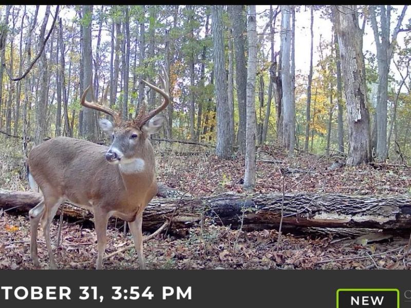 4051 St Rt 41, Manchester, OH 45144 Photo 11