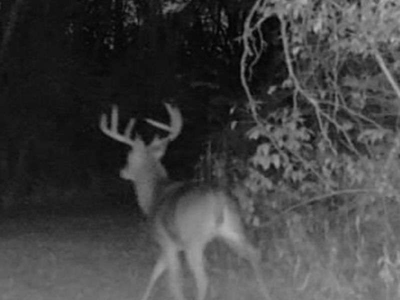 4051 St Rt 41, Manchester, OH 45144 Photo 12