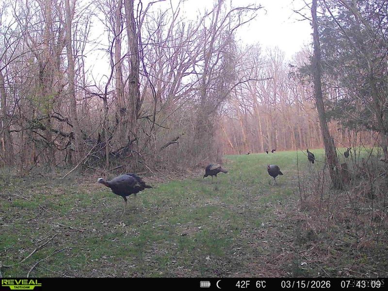 4051 St Rt 41, Manchester, OH 45144 Photo 15