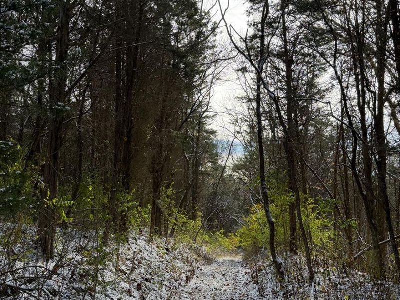 4051 St Rt 41, Manchester, OH 45144 Photo 21