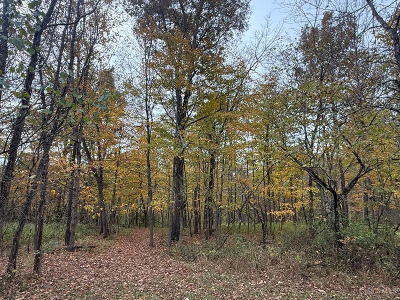 4051 St Rt 41, Manchester, OH 45144 Photo 23