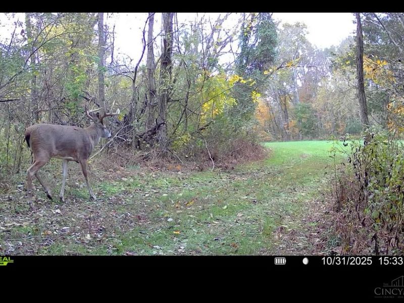 4051 St Rt 41, Manchester, OH 45144 Photo 24