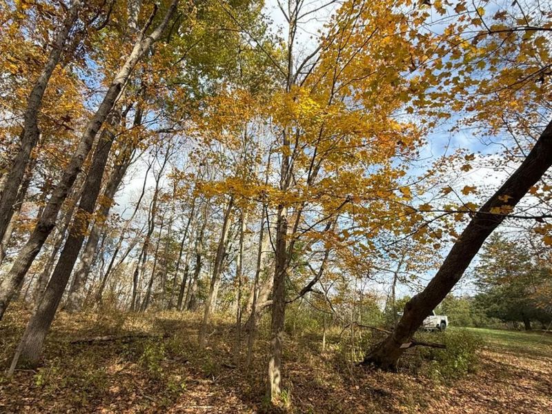 4051 St Rt 41, Manchester, OH 45144 Photo 25