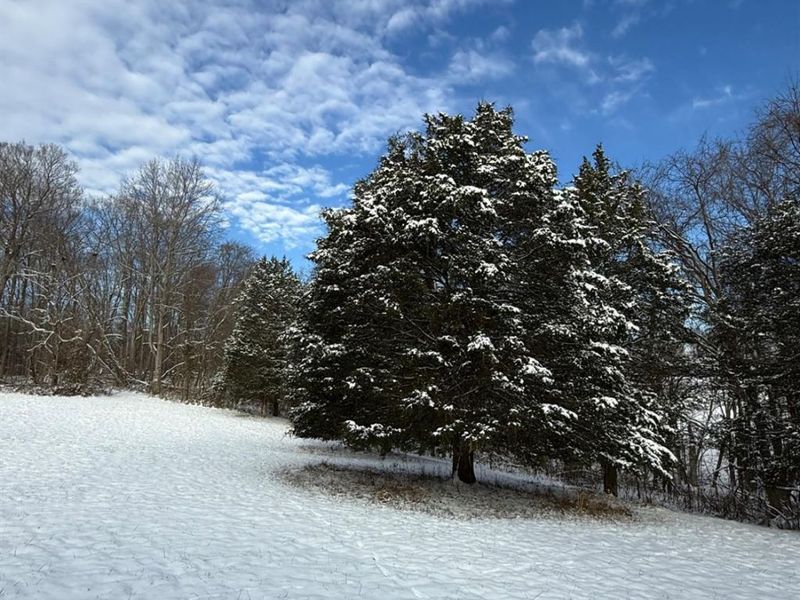 4051 St Rt 41, Manchester, OH 45144 Photo 29