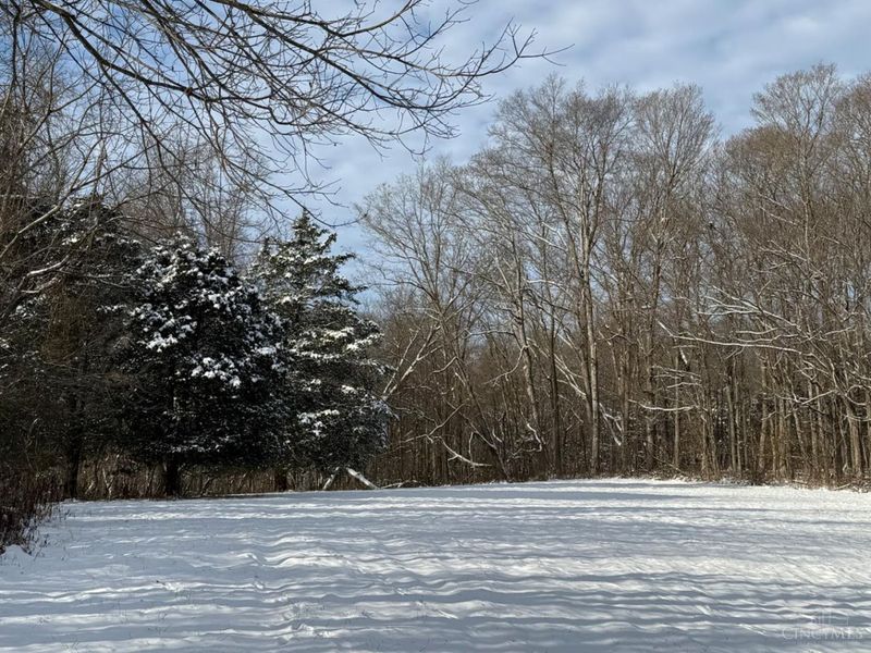 4051 St Rt 41, Manchester, OH 45144 Photo 30