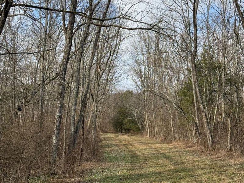 4051 St Rt 41, Manchester, OH 45144 Photo 31