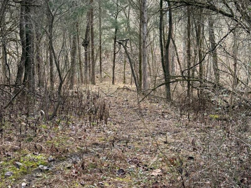 4051 St Rt 41, Manchester, OH 45144 Photo 35