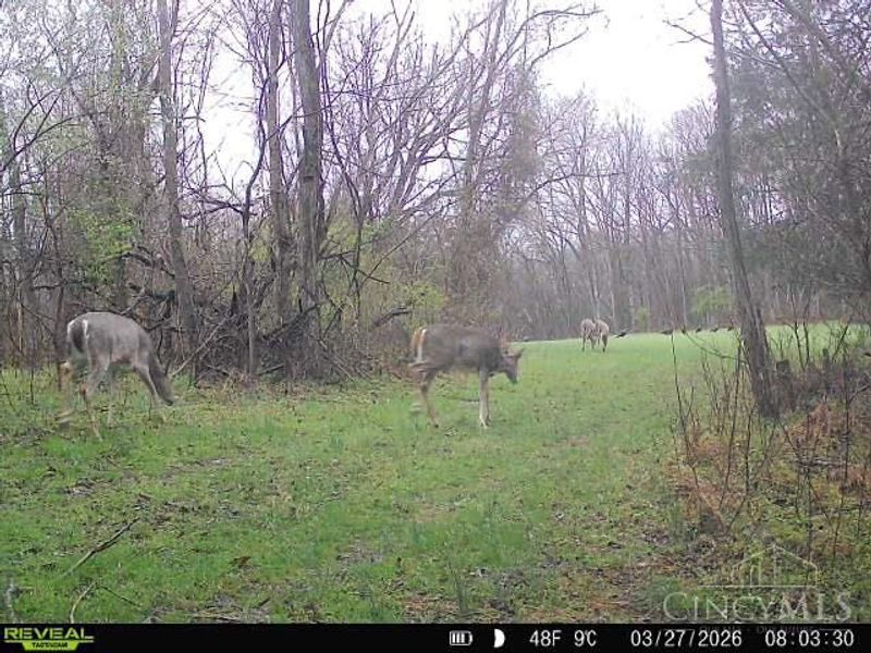 4051 St Rt 41, Manchester, OH 45144 Photo 37