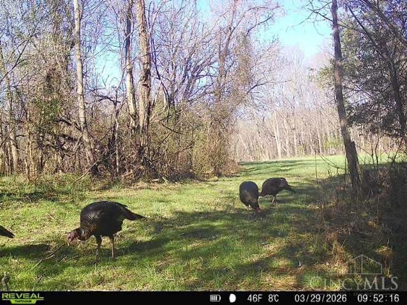 4051 St Rt 41, Manchester, OH 45144 Photo 37