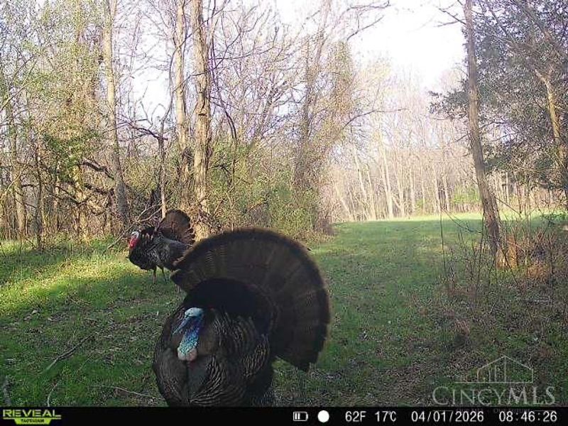 4051 St Rt 41, Manchester, OH 45144 Photo 39