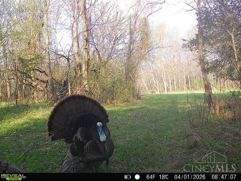 4051 St Rt 41, Manchester, OH 45144 Photo 40