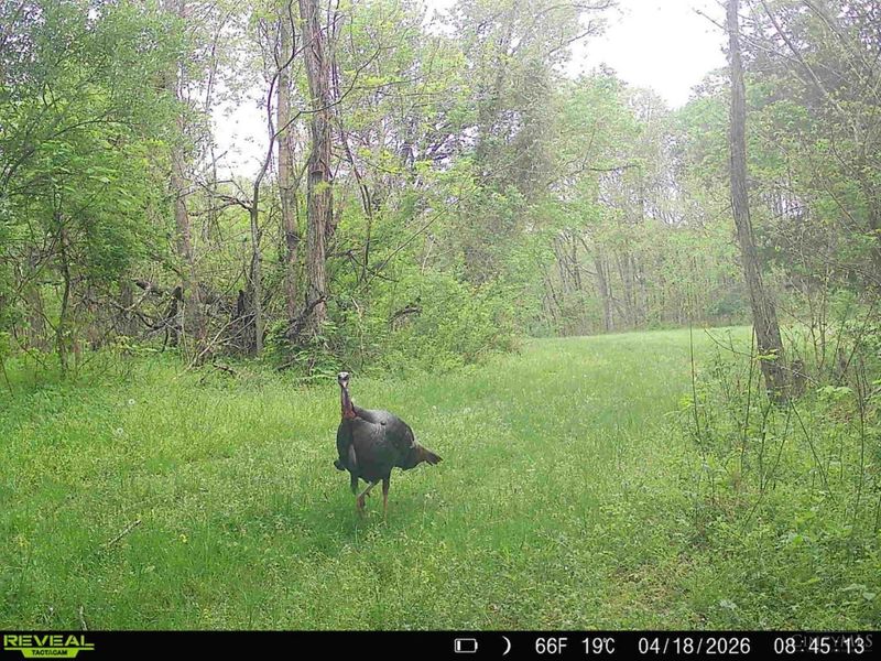 4051 St Rt 41, Manchester, OH 45144 Photo 40