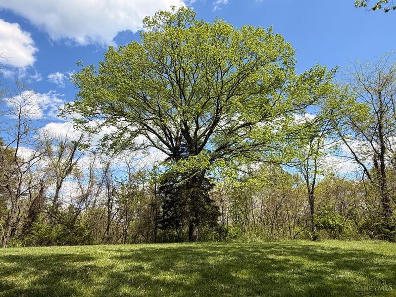 4051 St Rt 41, Manchester, OH 45144 Photo 41