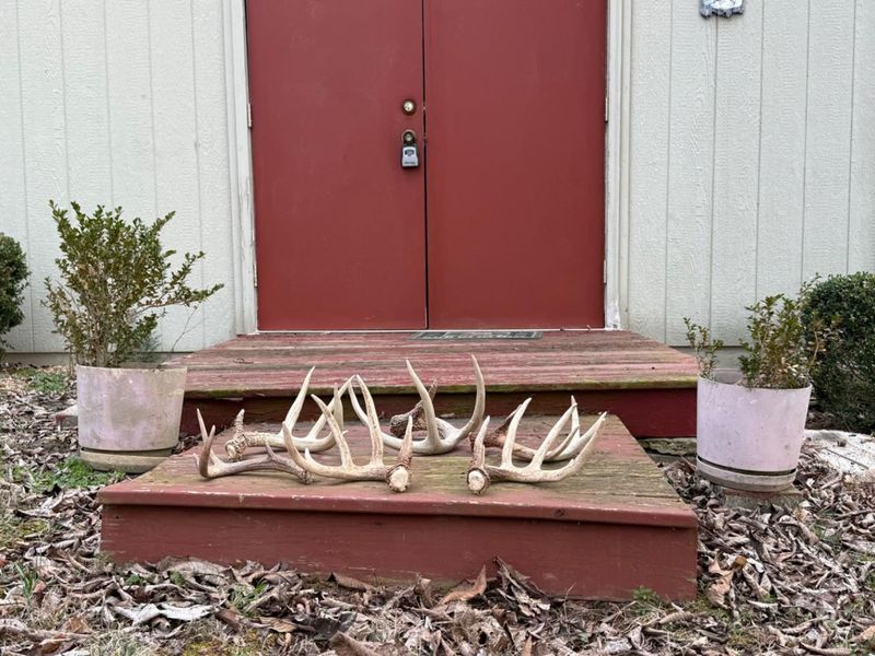 4051 St Rt 41, Manchester, OH 45144 Photo 5