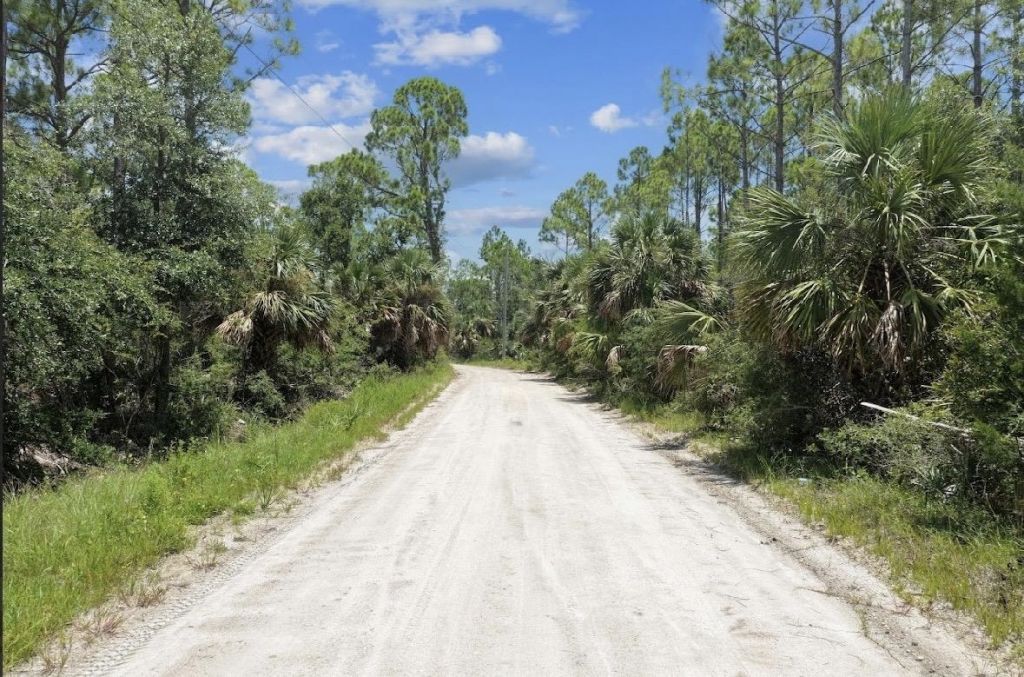 4019 Yates Creek Road , Keaton Beach, FL 32348 Photo