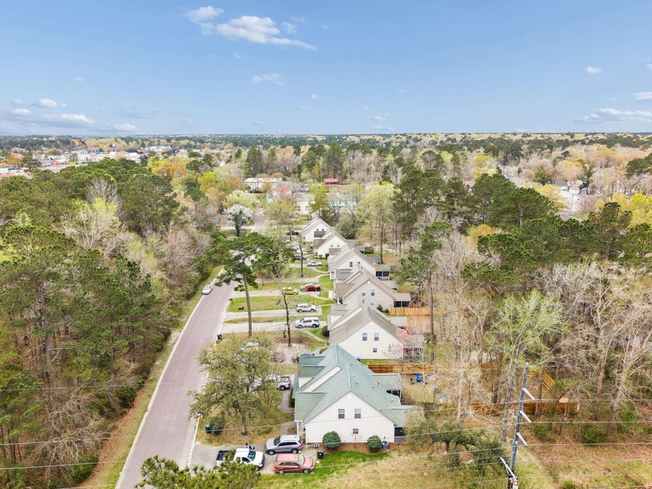 373 Springview Lane Photo 59