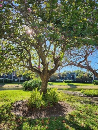 1629 Spoonbill Ln, Unit 1629-A, Naples, FL 34105 Photo