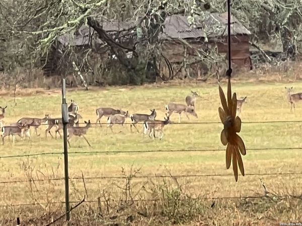 1384 County Road 326, Adkins, TX 78101