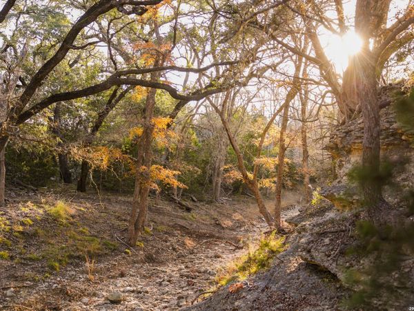 242 Model T, Blanco, TX 78606