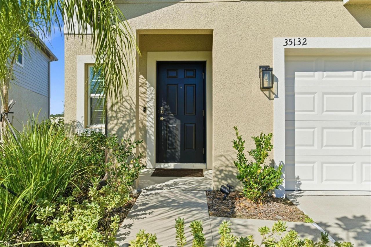 35132 Ackley Trace, Zephyrhills, FL 33541 Photo
